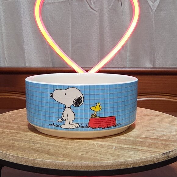 Gibson Other - Gibson Peanuts Snoopy Woodstock Dolomite Pet Bowl PS ALL GONE White Blue Red